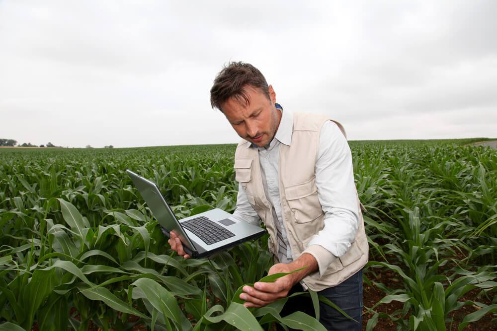 Visão computacional na agricultura: descubra suas vantagens!